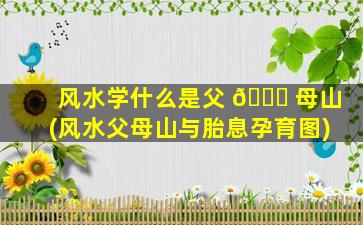 风水学什么是父 🕊 母山(风水父母山与胎息孕育图)